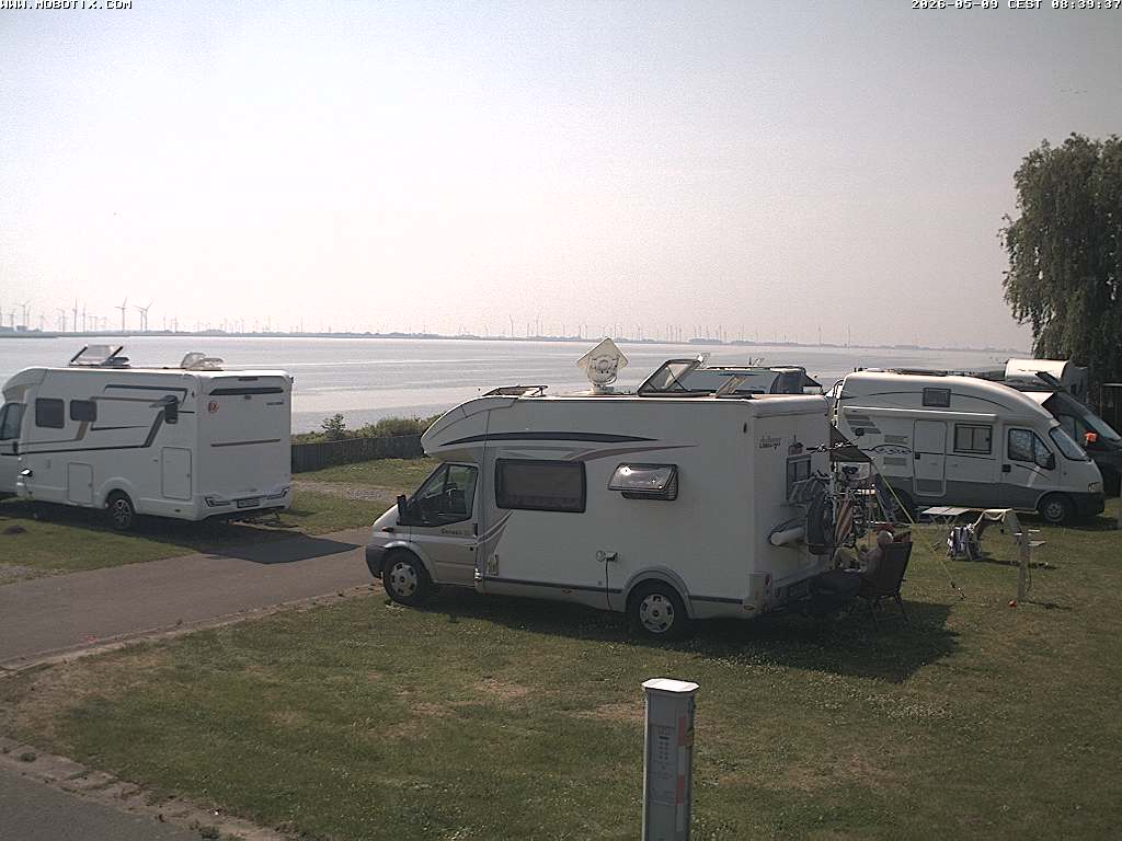 Camera Live Image