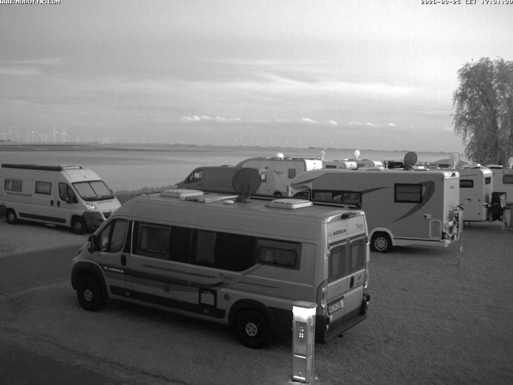 Camera Live Image