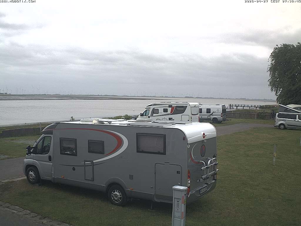 Camera Live Image