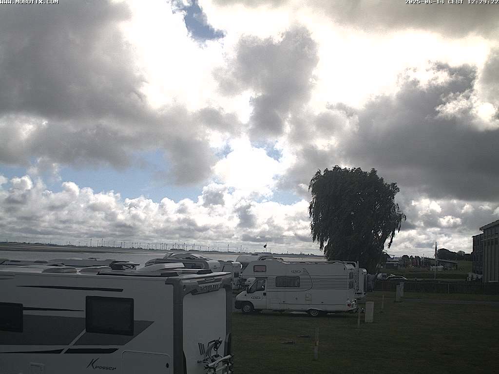 Camera Live Image